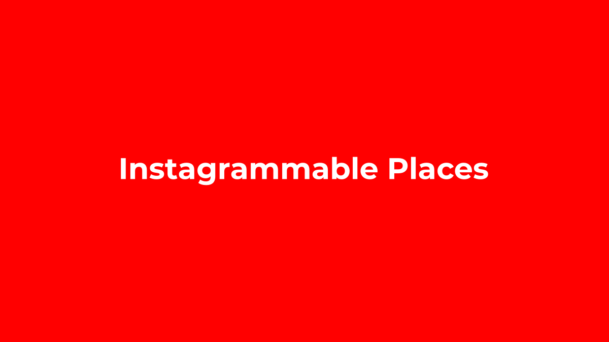Top 10 Hidden Instagrammable Cafés in Vietnam for Stunning Photo Backdrops