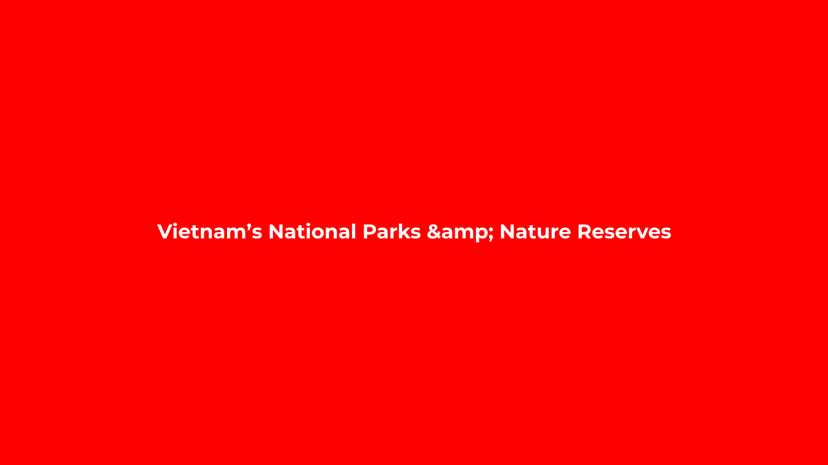 A Field Guide to Birdwatching in Vietnam’s National Parks: Species, Seasons, and Best Viewing Spots